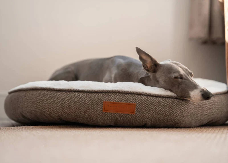 CALMING & ANTI-ANXIETY DOG BEDS