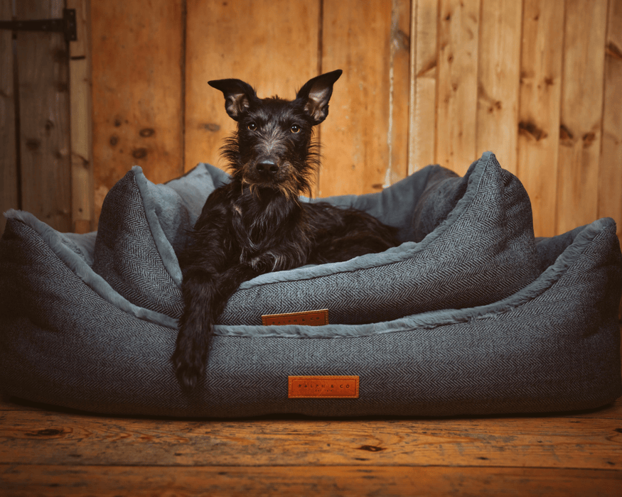 LUXURY DOG BEDS