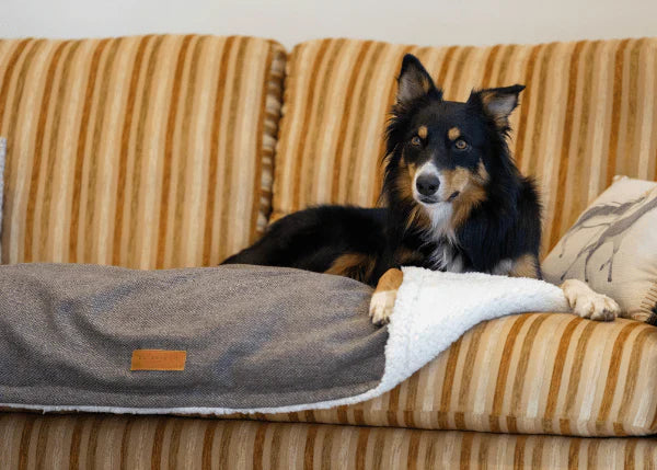 DOG BLANKETS