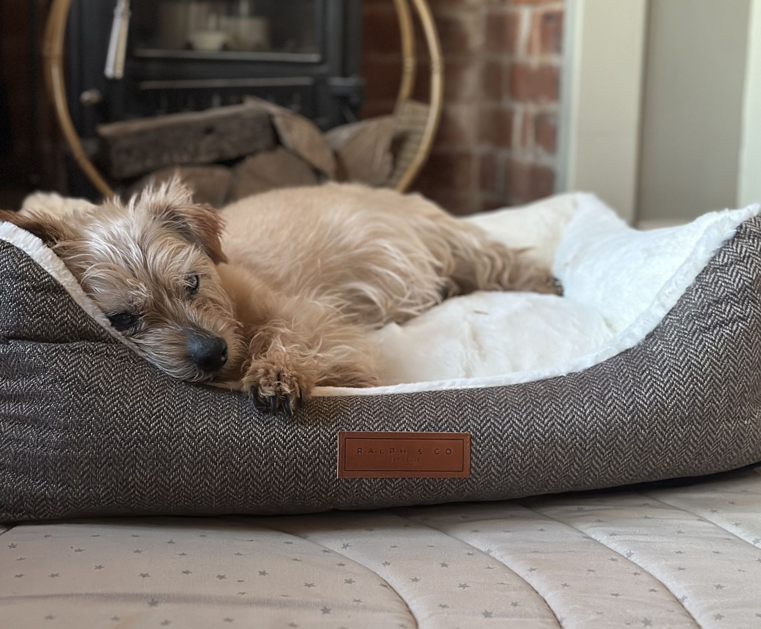 PUPPY BEDS