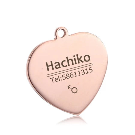 Personalized Engraved Pet ID Tag – Durable Aluminum Dog & Cat Name Tag