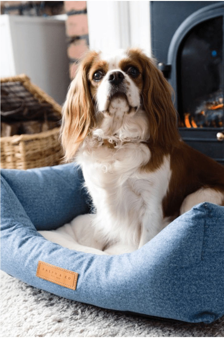 Chenille Nest Dog Bed | Rayleigh