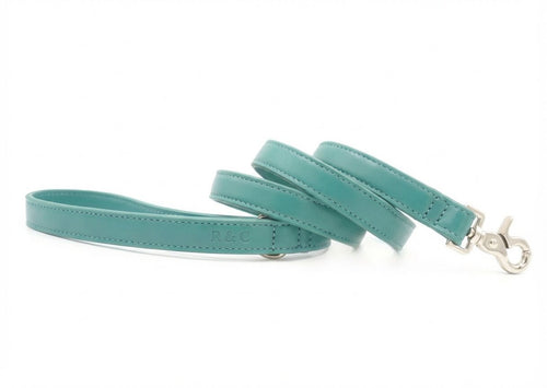 Duck Egg Blue Leather Dog Lead
