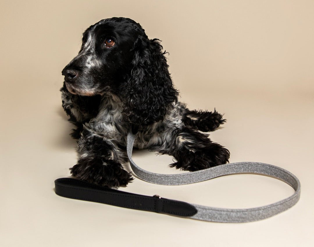 Fabric & Leather Collar - Eton