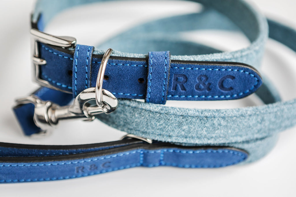 Fabric & Leather Collar - Rayleigh
