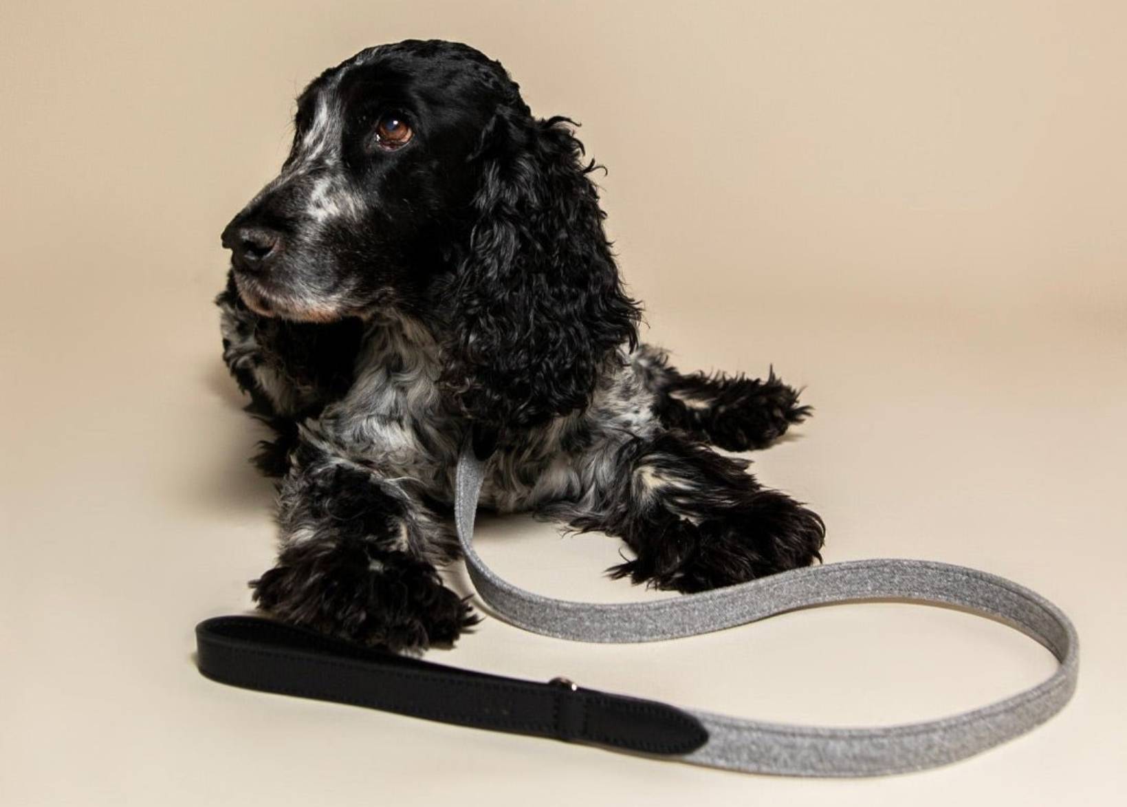 Fabric & Leather Lead - Eton