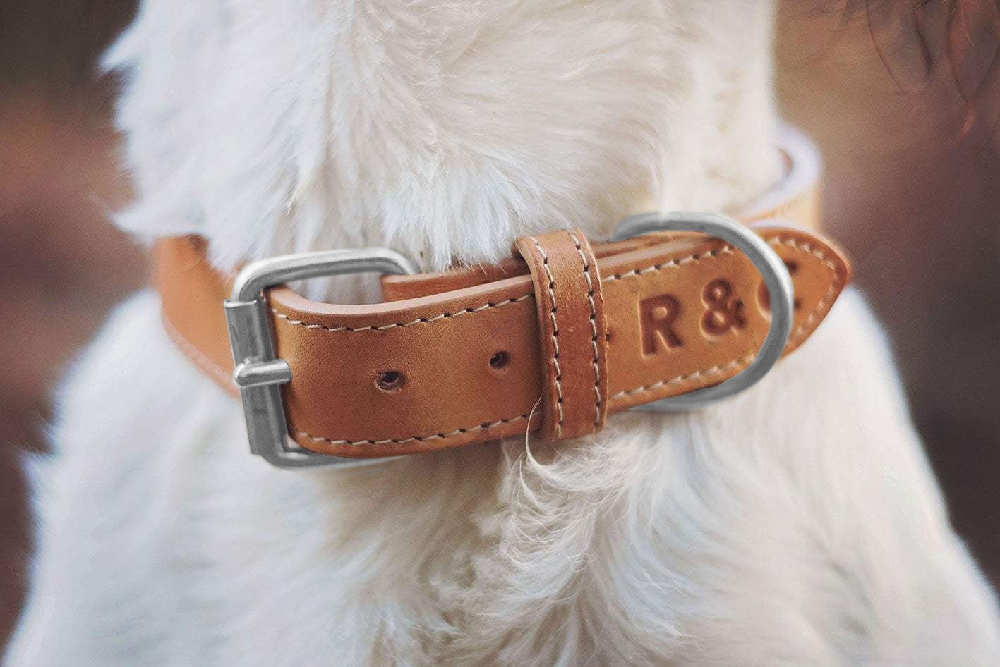 Italian Leather Collar - Trieste