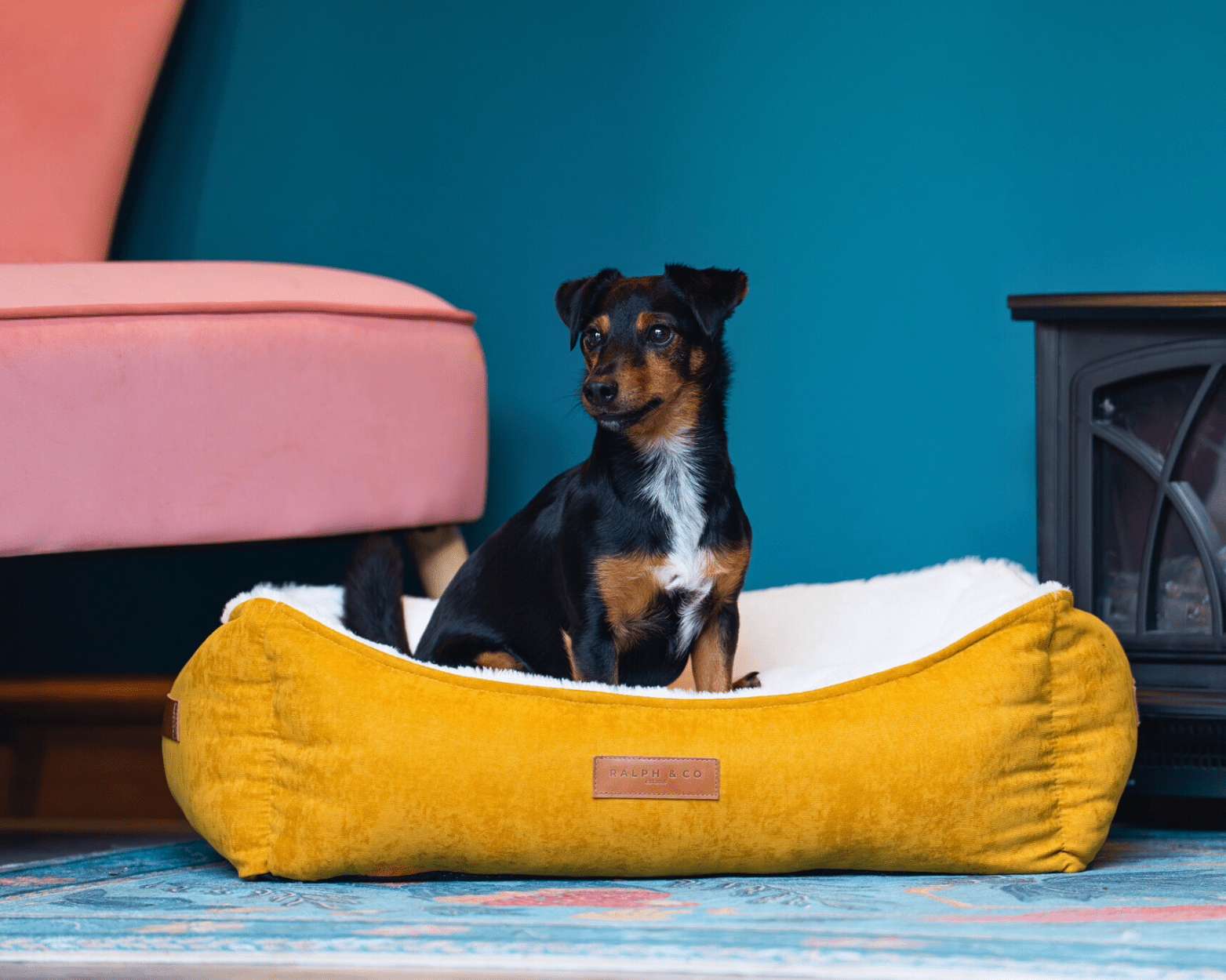 Luxury Velvet Dog Bed With Removable Covers | Sandringham