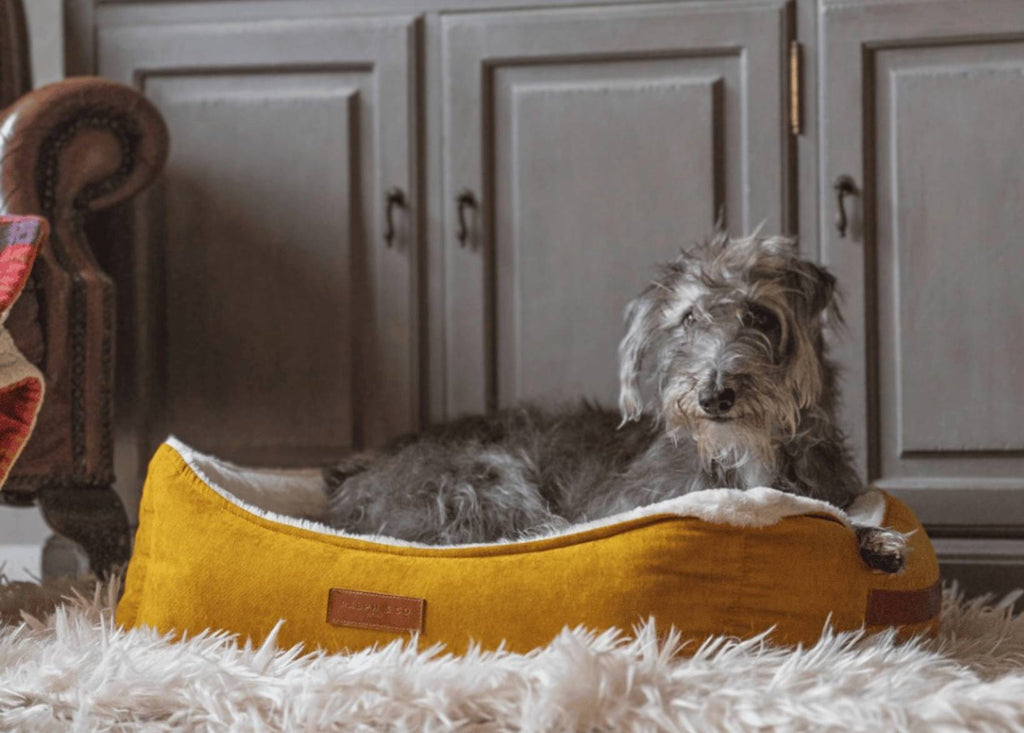 Luxury Velvet Dog Bed With Removable Covers | Sandringham