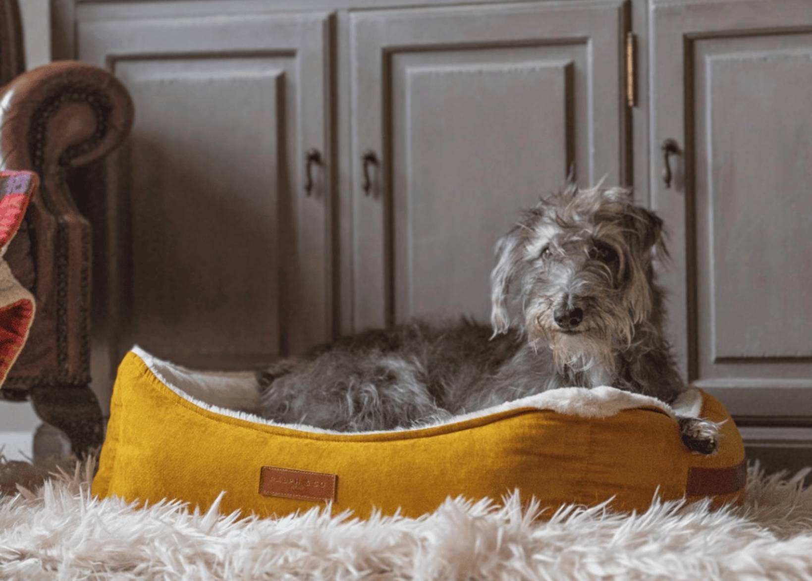 Luxury Velvet Dog Bed With Removable Covers | Sandringham