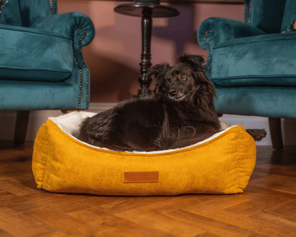 Luxury Velvet Dog Bed With Removable Covers | Sandringham