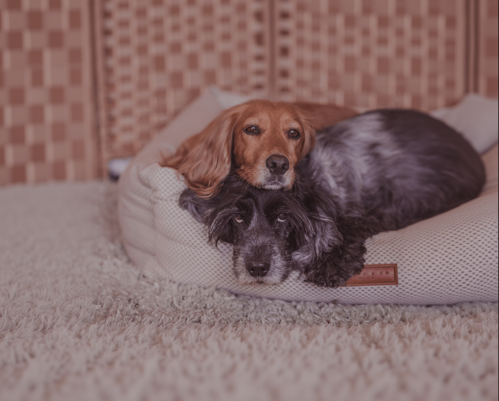 THE CHATSWORTH | LUXURY MEMORY FOAM BED