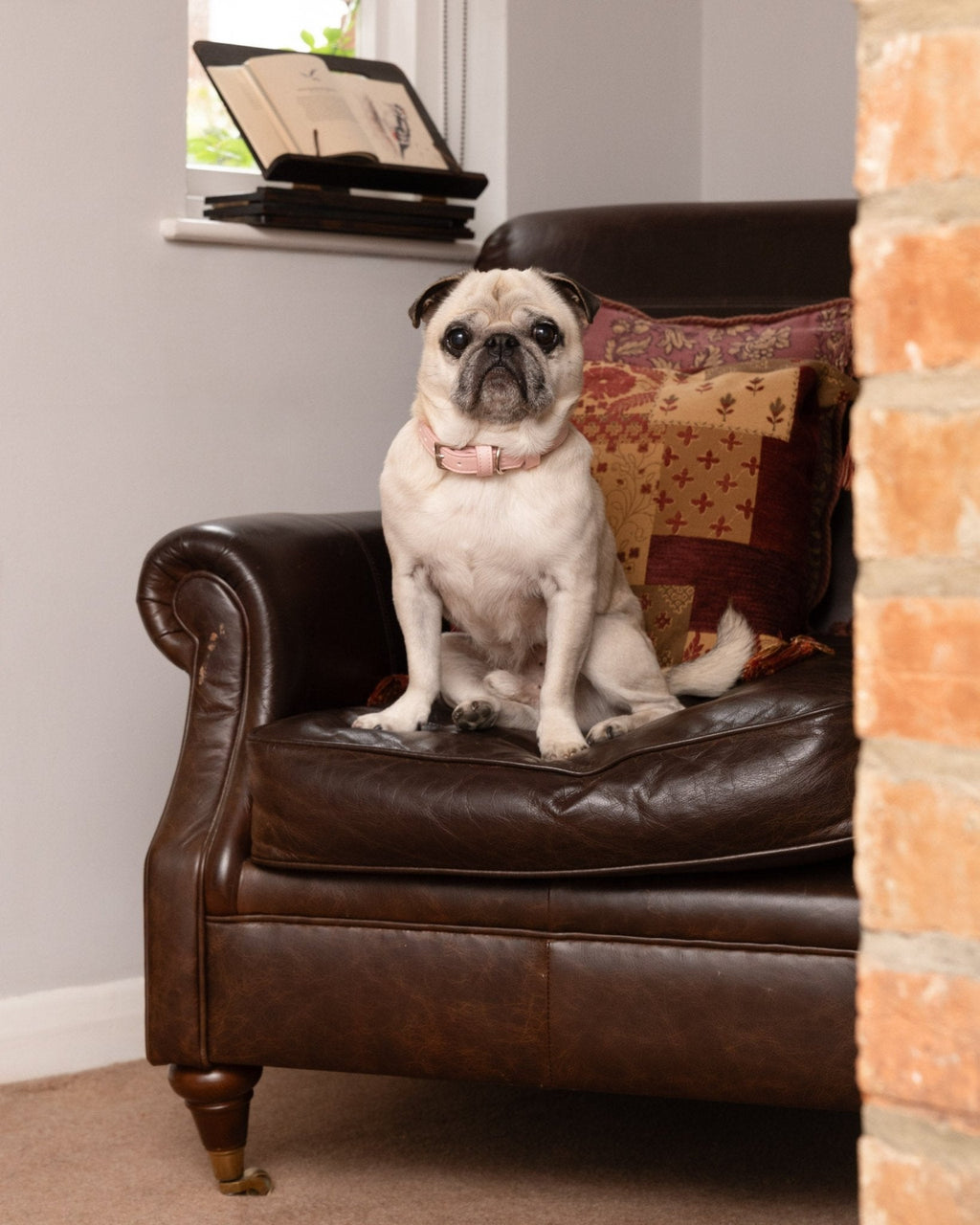 Pink Leather Dog Collar