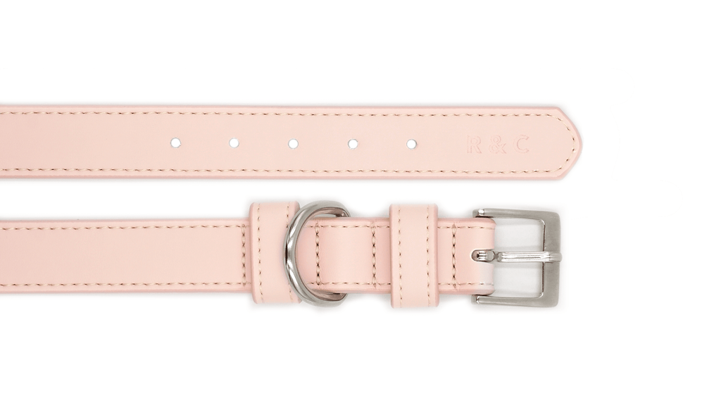Pink Leather Dog Collar