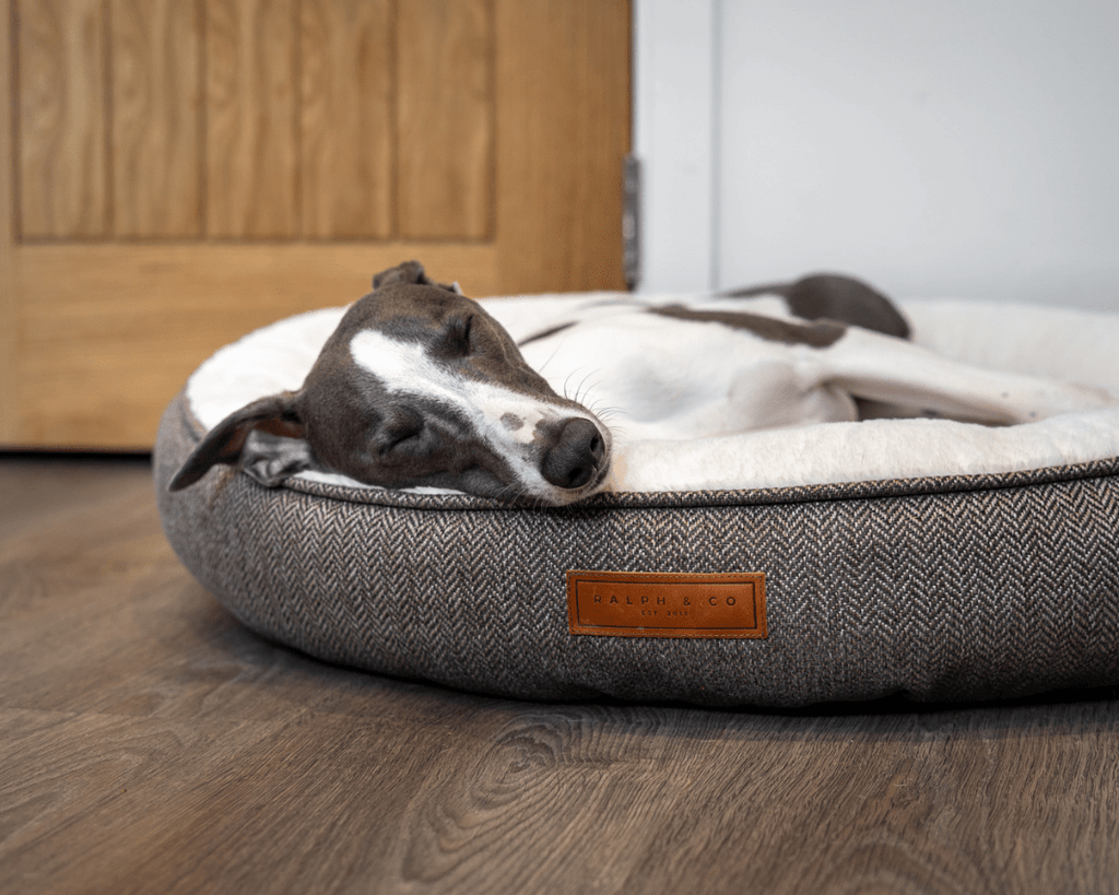 THE LINCOLN  | LUXURY DONUT BED