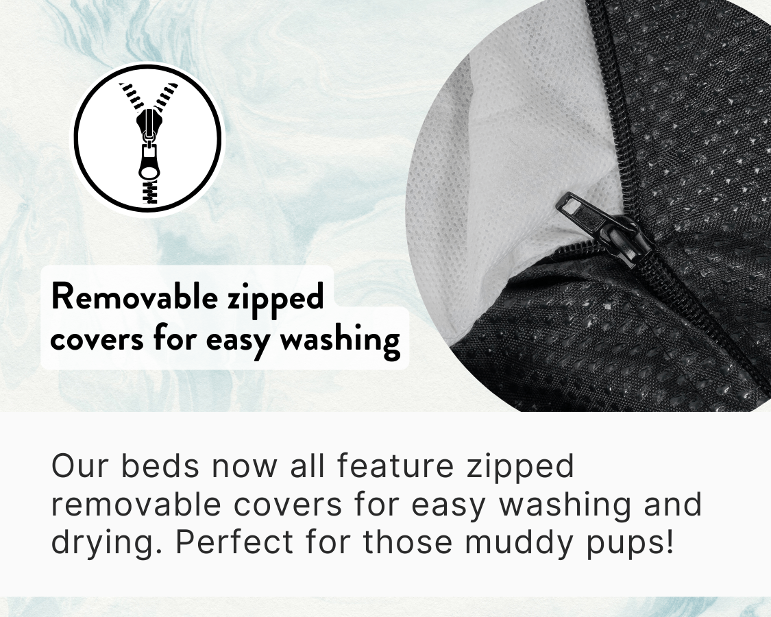 Luxury Velvet Dog Bed With Removable Covers | Hampton
