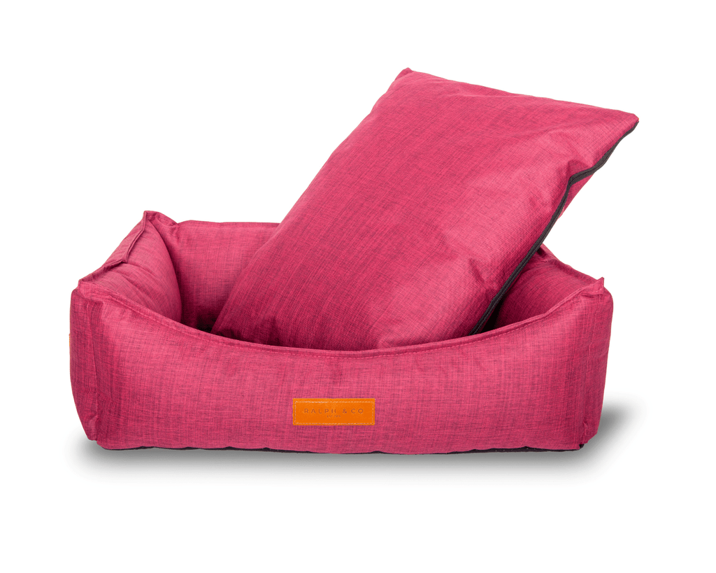 Waterproof Dog Bed | Ascot