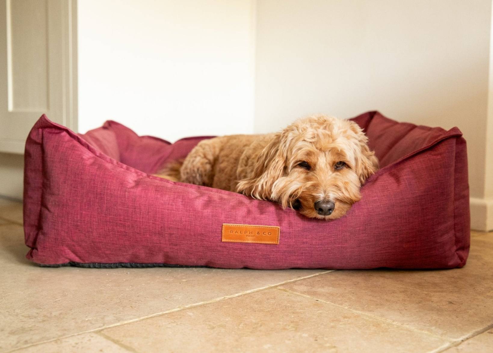 Waterproof Dog Bed | Ascot