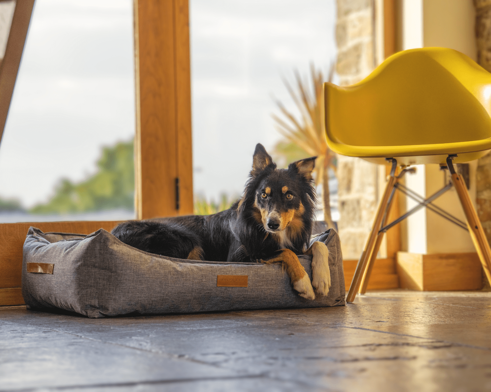 Waterproof Dog Bed | Windsor