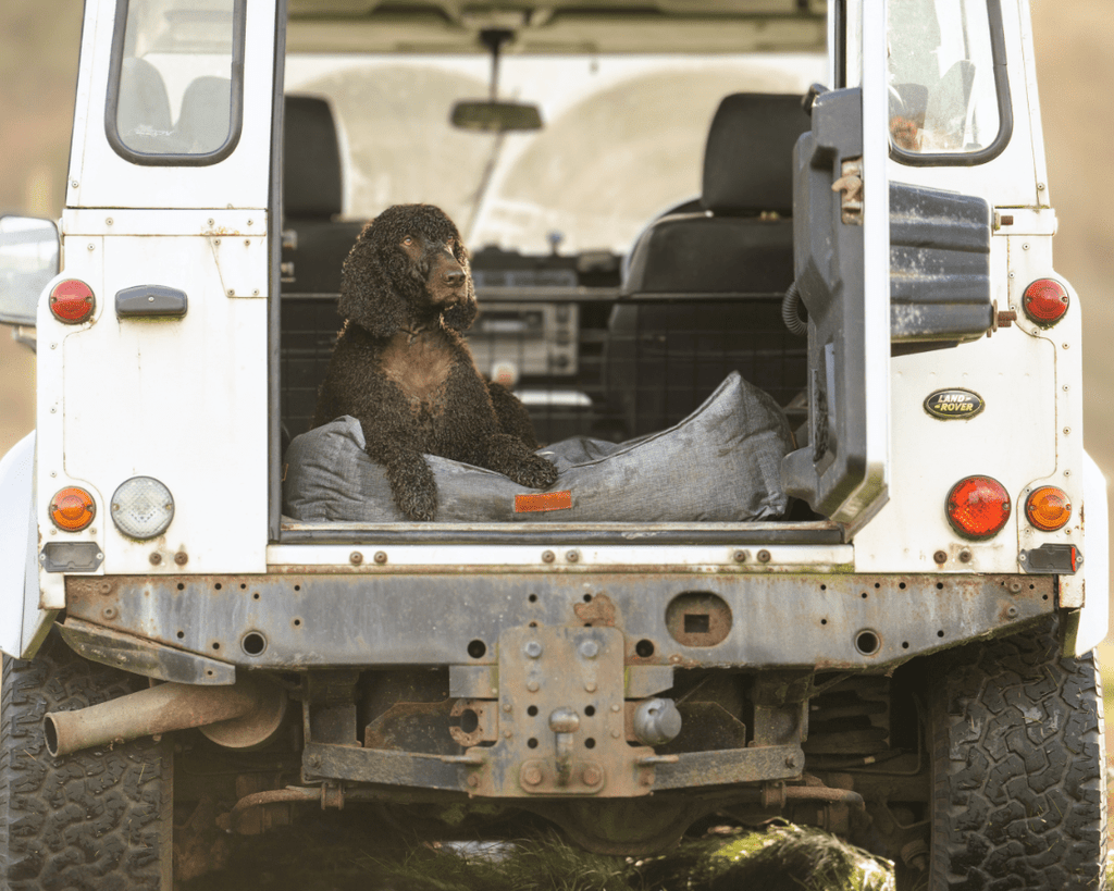 Waterproof Dog Bed | Windsor